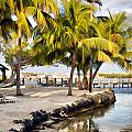 The Beach at Coconut Palm Inn
